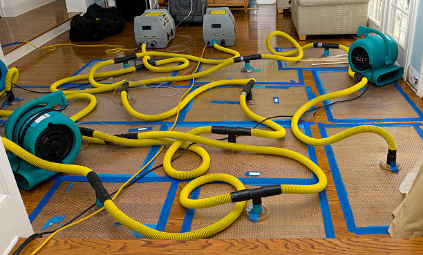 Professional Structural Drying And Dehumidification technician working in Saint Clair, PA