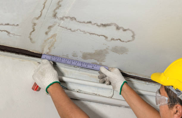 Affordable Water Damage Repair solutions in Saint Clair, PA